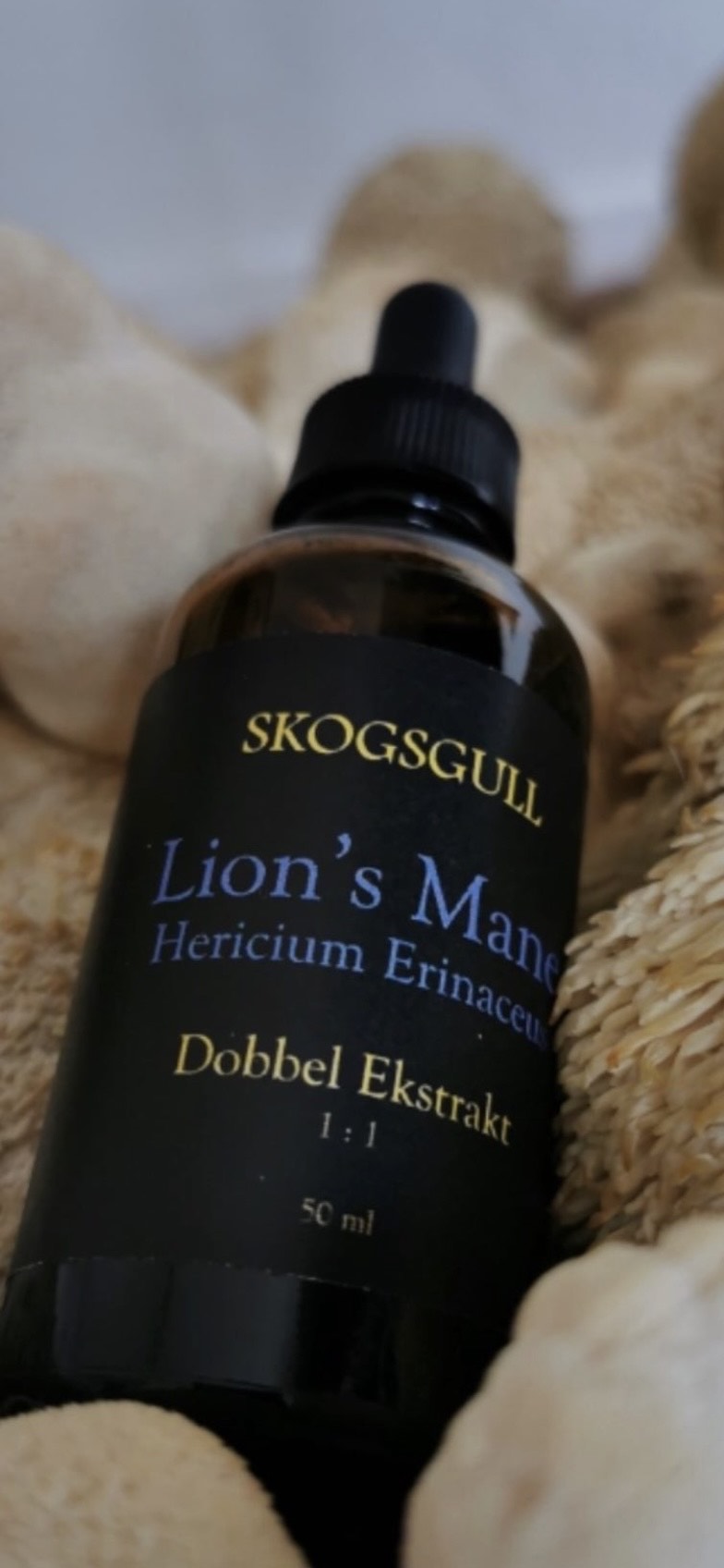 Skogsgull Lion's Mane dobbeltekstrakt